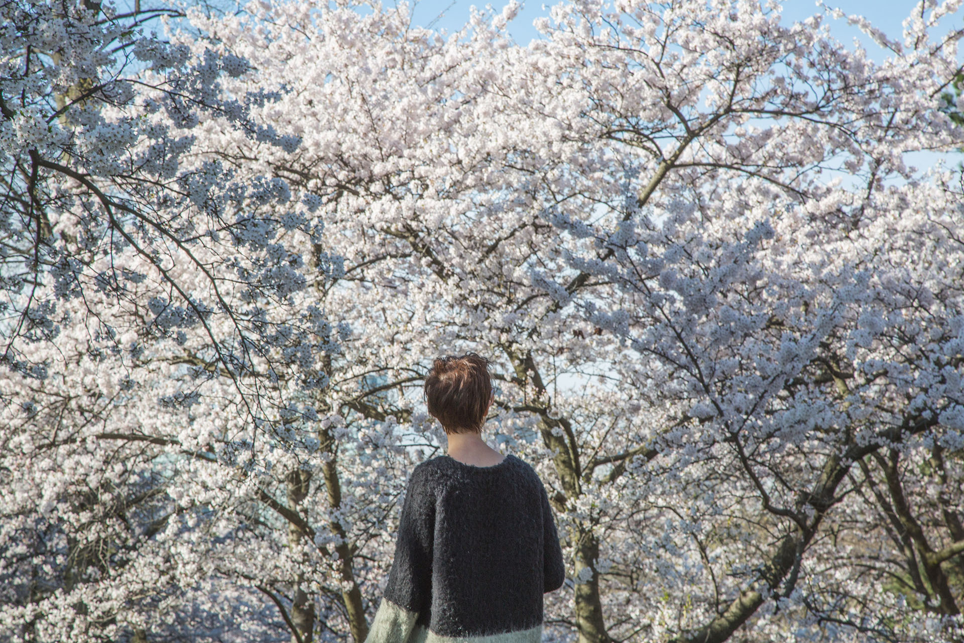 How Nature Benefits Mental Health